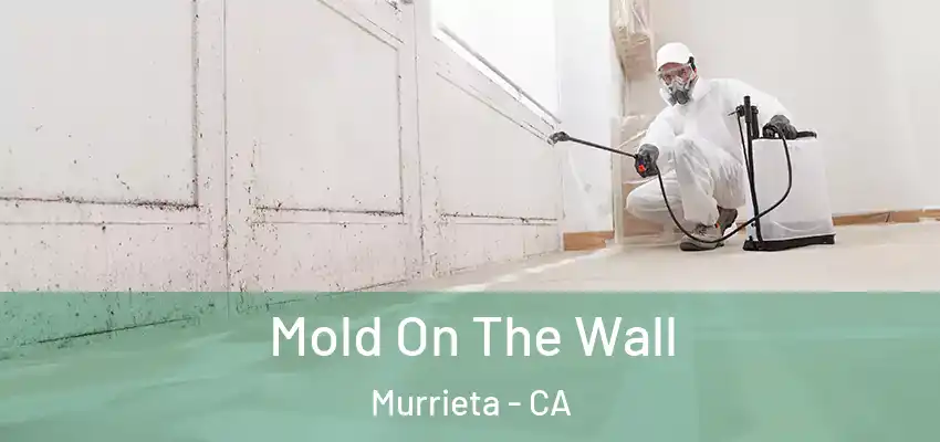  Mold On The Wall Murrieta - CA