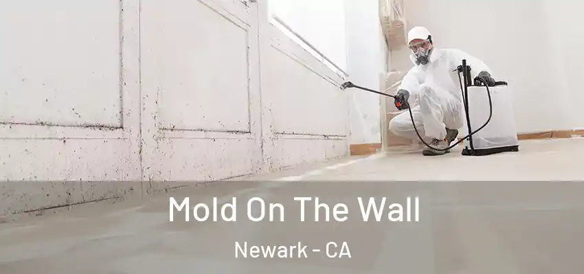  Mold On The Wall Newark - CA
