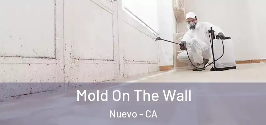  Mold On The Wall Nuevo - CA