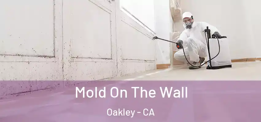  Mold On The Wall Oakley - CA