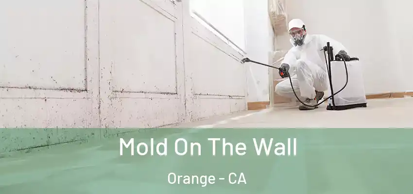  Mold On The Wall Orange - CA