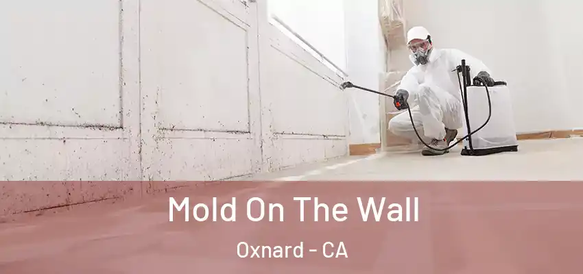 Mold On The Wall Oxnard - CA