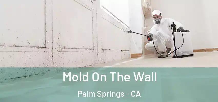  Mold On The Wall Palm Springs - CA