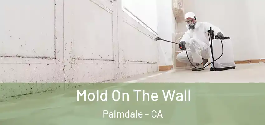 Mold On The Wall Palmdale - CA