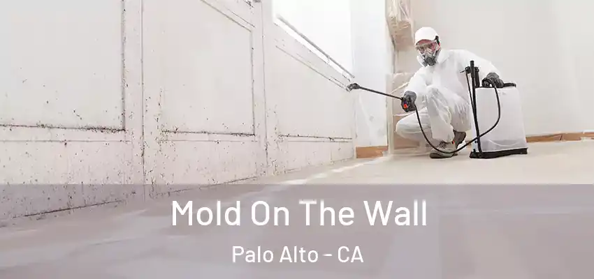  Mold On The Wall Palo Alto - CA