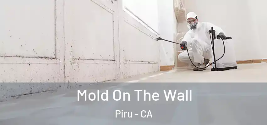Mold On The Wall Piru - CA