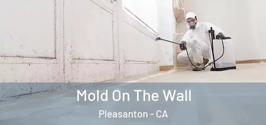  Mold On The Wall Pleasanton - CA