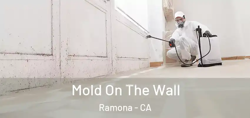 Mold On The Wall Ramona - CA