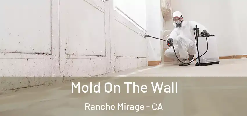  Mold On The Wall Rancho Mirage - CA