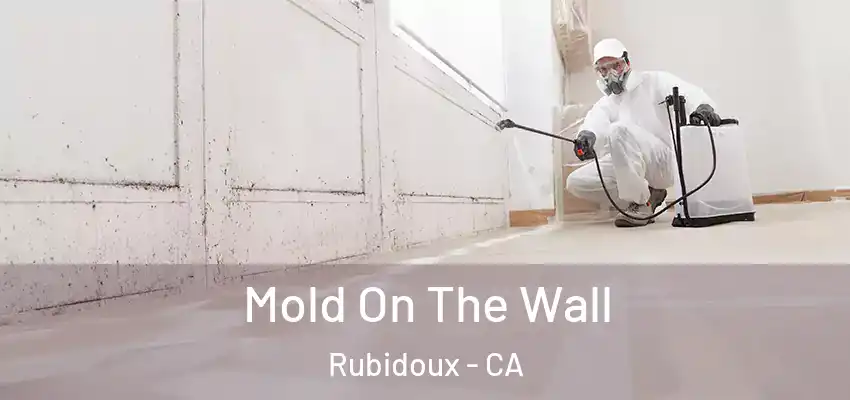  Mold On The Wall Rubidoux - CA