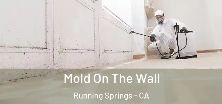  Mold On The Wall Running Springs - CA