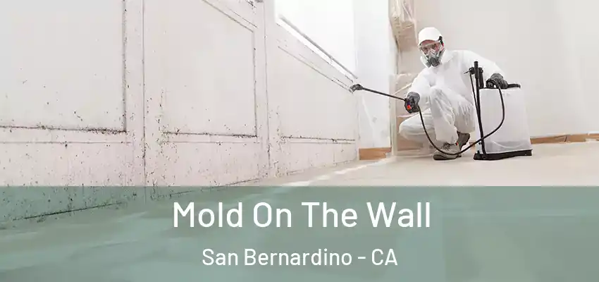  Mold On The Wall San Bernardino - CA