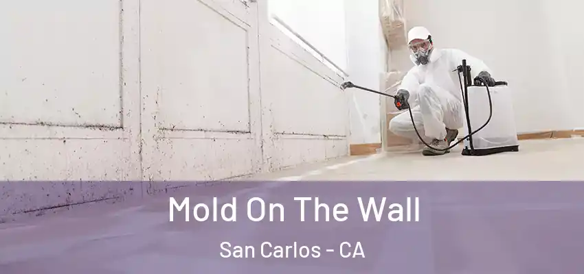  Mold On The Wall San Carlos - CA