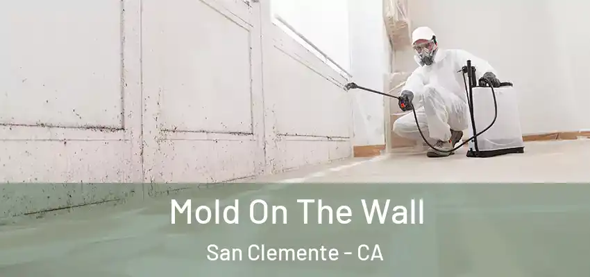  Mold On The Wall San Clemente - CA