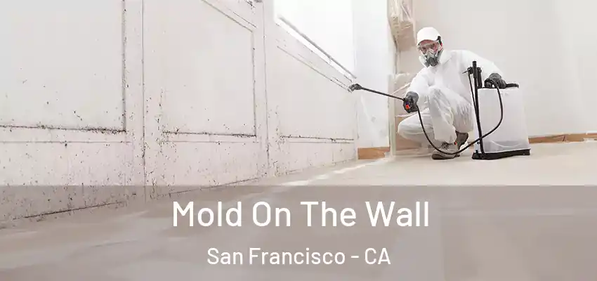  Mold On The Wall San Francisco - CA