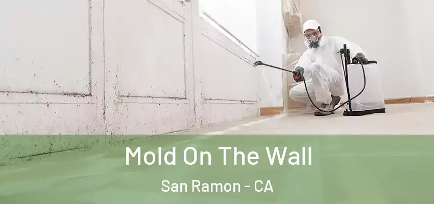  Mold On The Wall San Ramon - CA