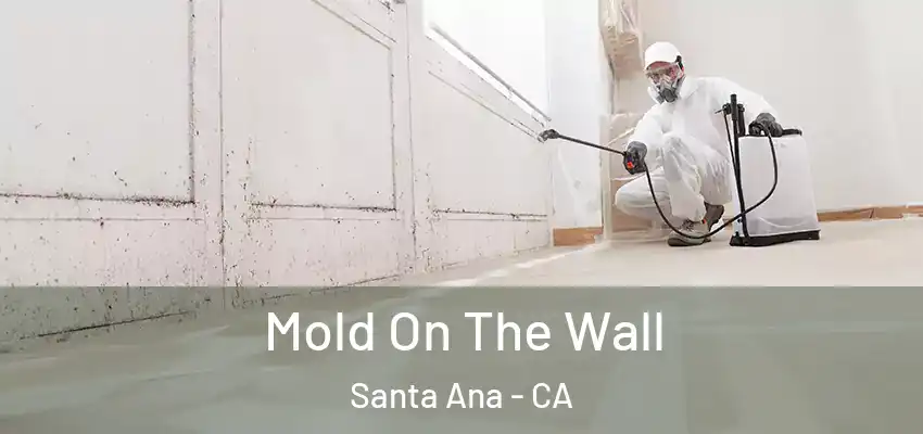  Mold On The Wall Santa Ana - CA