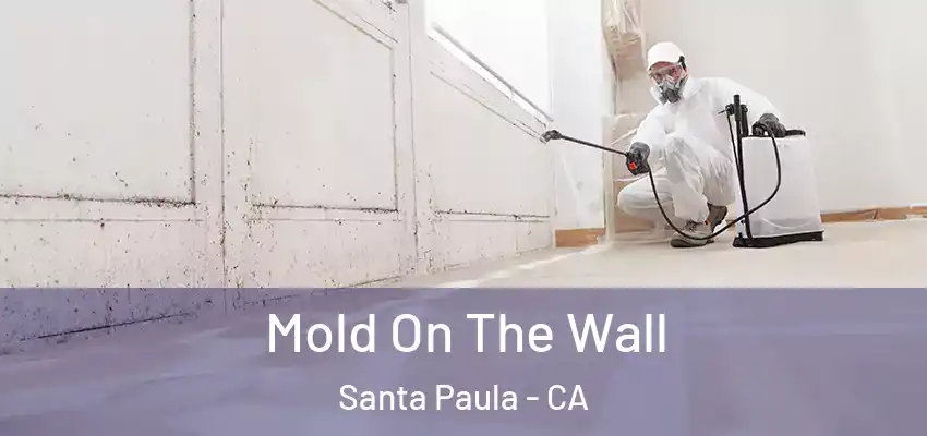  Mold On The Wall Santa Paula - CA