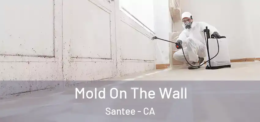 Mold On The Wall Santee - CA