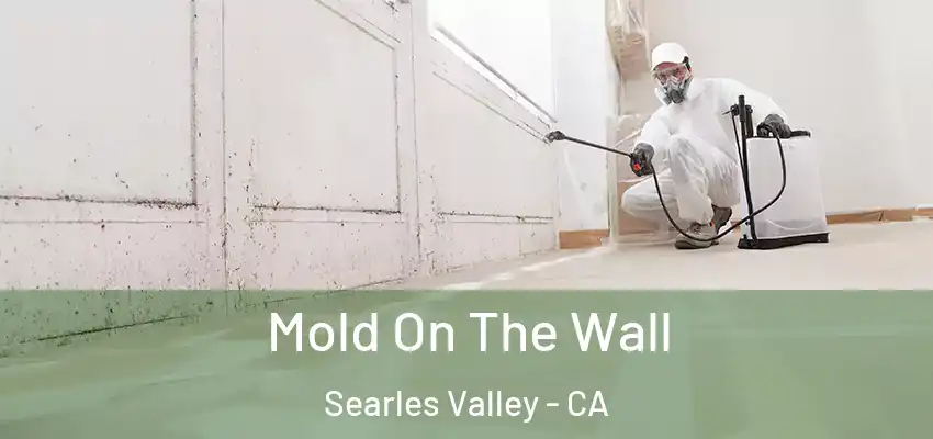  Mold On The Wall Searles Valley - CA