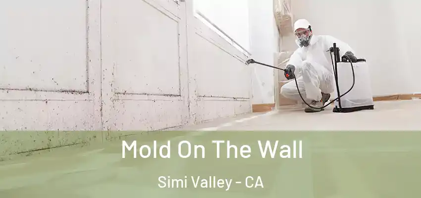 Mold On The Wall Simi Valley - CA