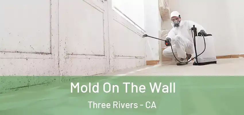  Mold On The Wall Three Rivers - CA