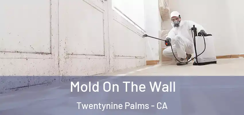  Mold On The Wall Twentynine Palms - CA