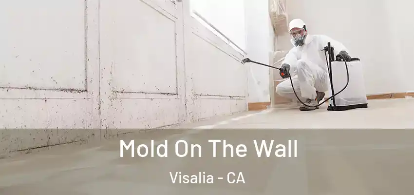  Mold On The Wall Visalia - CA