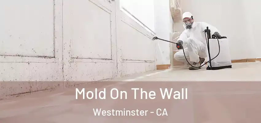  Mold On The Wall Westminster - CA