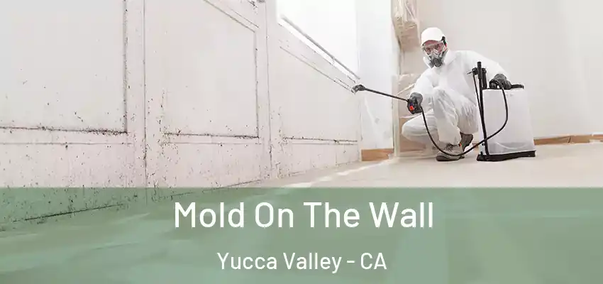  Mold On The Wall Yucca Valley - CA