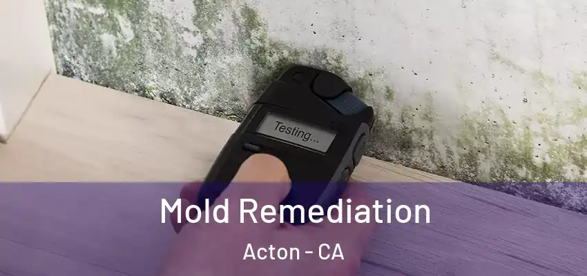  Mold Remediation Acton - CA