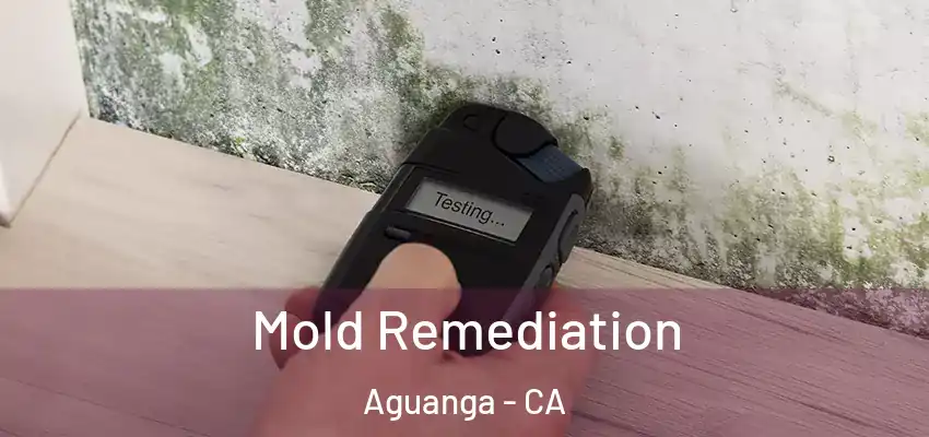  Mold Remediation Aguanga - CA