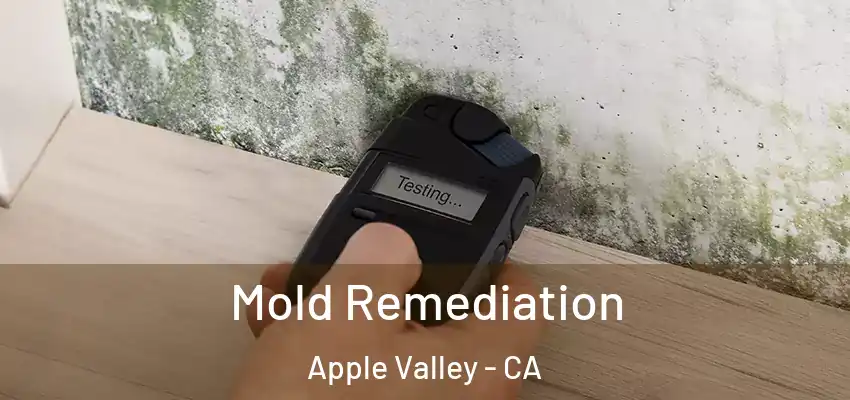  Mold Remediation Apple Valley - CA