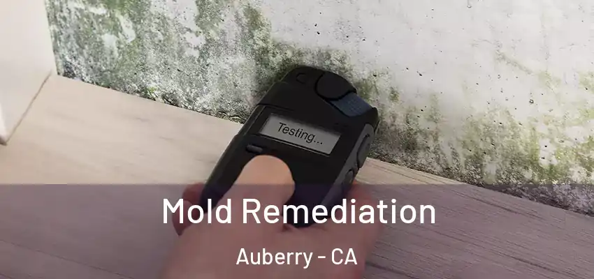  Mold Remediation Auberry - CA