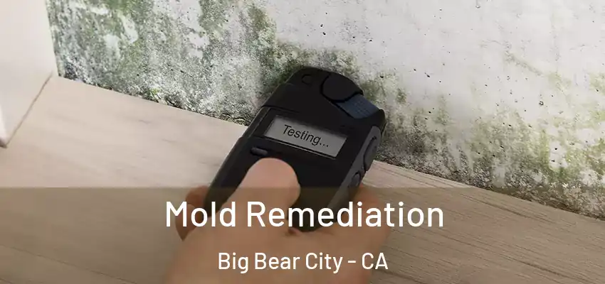  Mold Remediation Big Bear City - CA