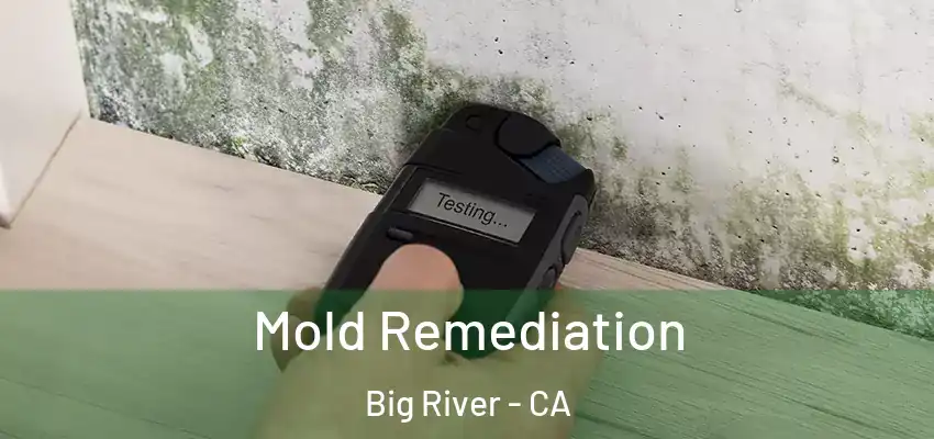  Mold Remediation Big River - CA