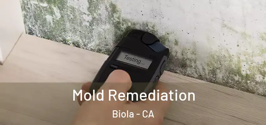  Mold Remediation Biola - CA