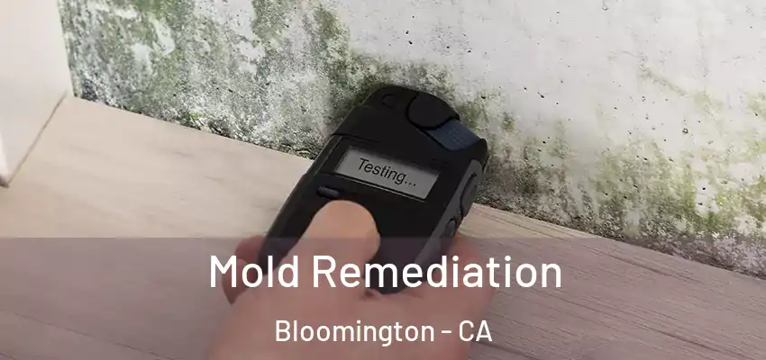  Mold Remediation Bloomington - CA