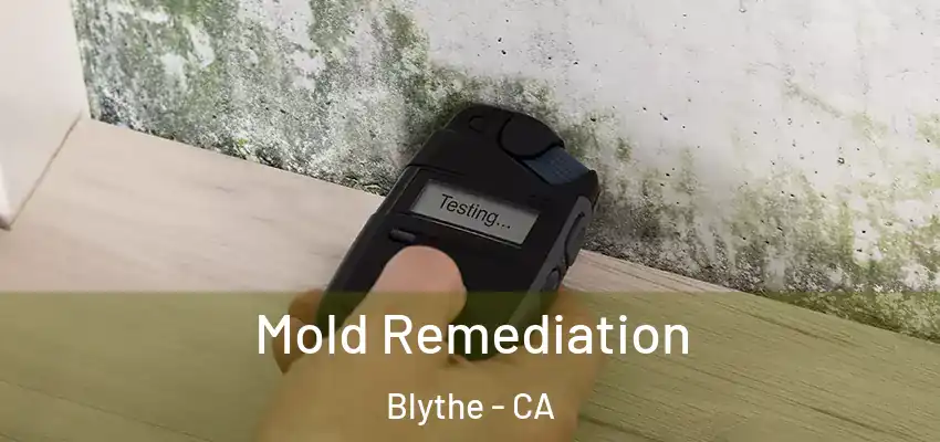  Mold Remediation Blythe - CA