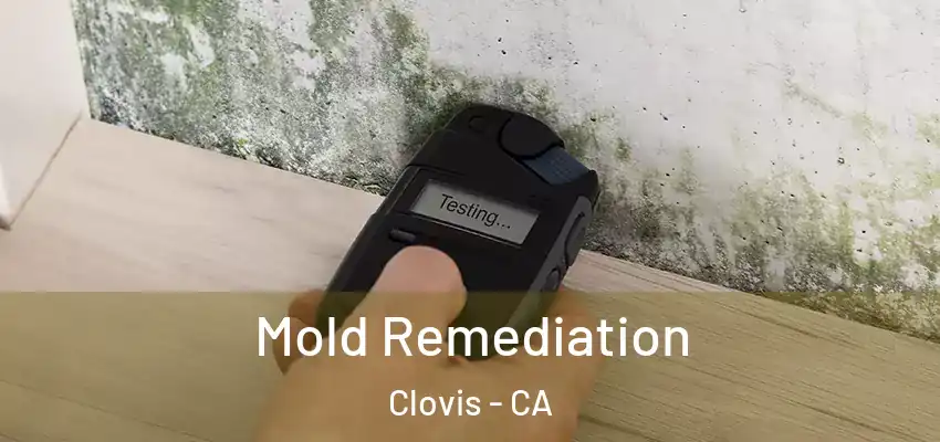  Mold Remediation Clovis - CA