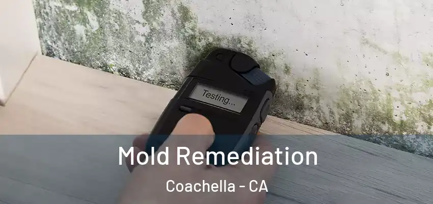  Mold Remediation Coachella - CA