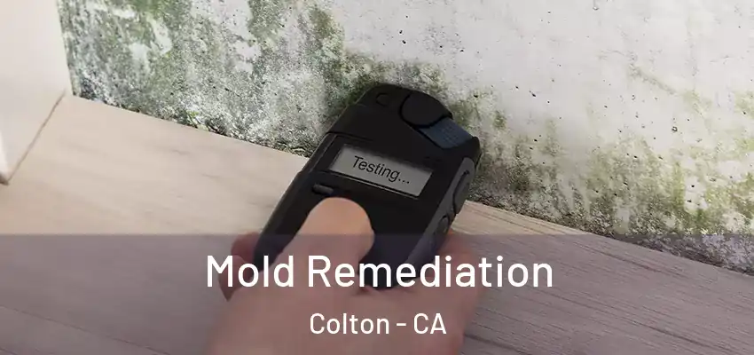  Mold Remediation Colton - CA