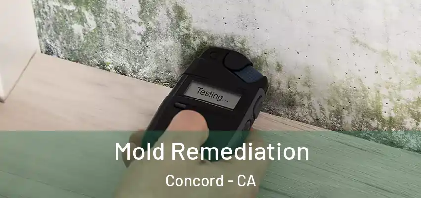  Mold Remediation Concord - CA
