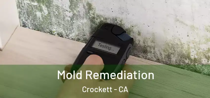  Mold Remediation Crockett - CA
