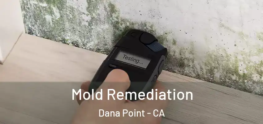Mold Remediation Dana Point - CA