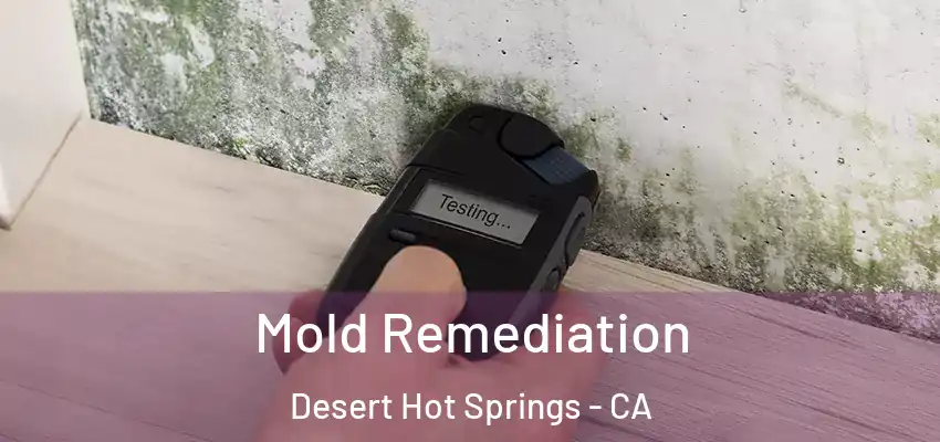  Mold Remediation Desert Hot Springs - CA