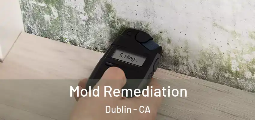  Mold Remediation Dublin - CA