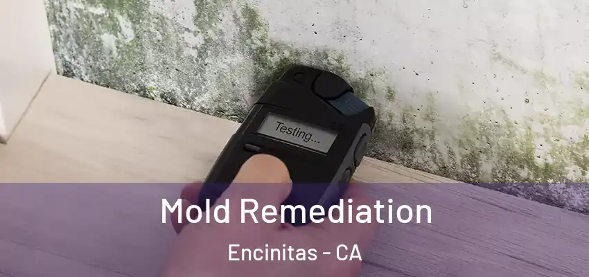  Mold Remediation Encinitas - CA