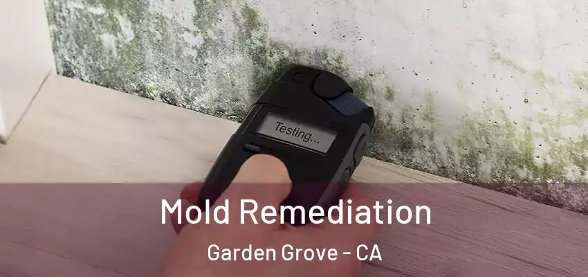  Mold Remediation Garden Grove - CA