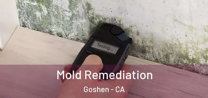 Mold Remediation Goshen - CA